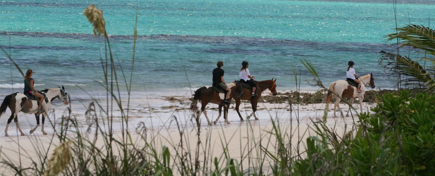 horsebacking on the beach in Eleuthera, Bahamas