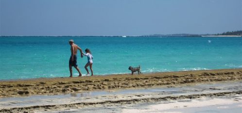 family and dog on the beach in Eleuthera