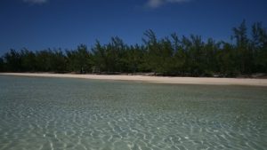 A wonderful snorkel guide in the Bahamas is Foster Neily!